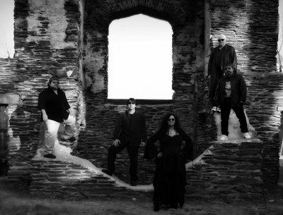 TLP photo