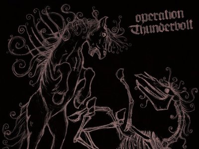 Operation Thunderbolt cover