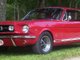 the mustang