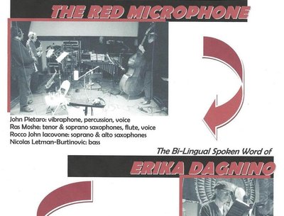 THE RED MICROPHONE and ERIKA DAGNINO share the bill at Shapeshifter Lab, Bklyn NY, Feb 5, 2013