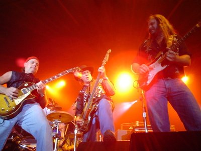 Felix and the Hurricanes photo