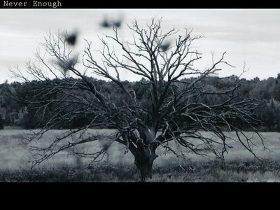 Chad Sampson photo