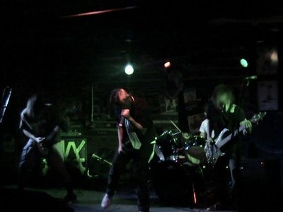 Artificial Insanity photo