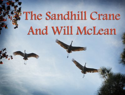 Gail Carson photo