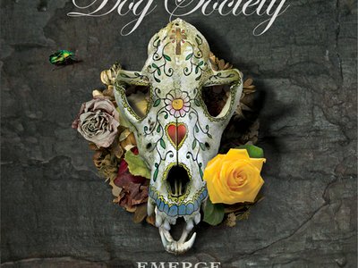 Emerge by Dog Society