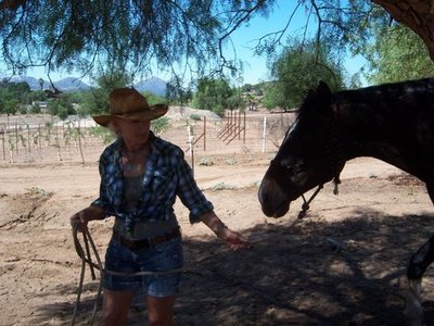 Dusty and Chuparosa
