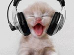 music gooves yeah!!