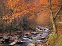 by the river is the silence