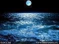 blue moon in the night the sea of silence