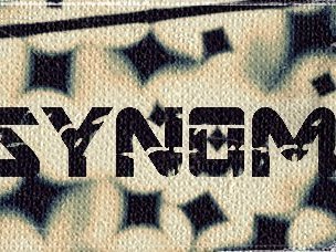 PSYNOMA photo