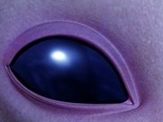 Look into my eyes...sleep