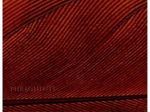 Phragments—The Burning World CD 2007