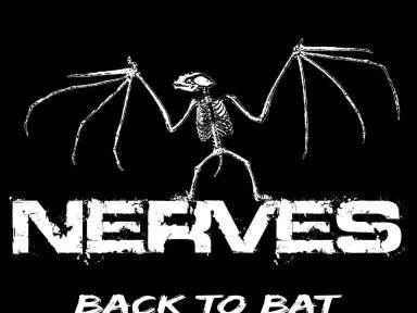 THE NERVES - Back to bat (album 2012)