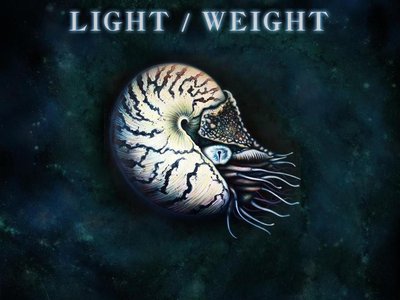 The cover for our new album "Light/Weight".