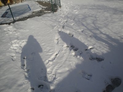 yokos en sombra