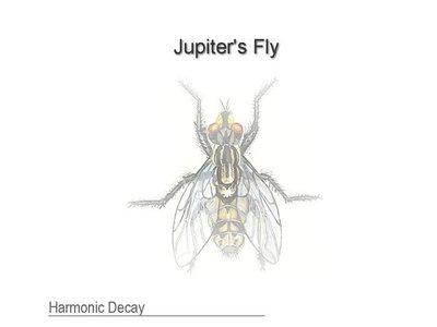 Jupiter's Fly