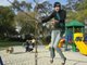 swing