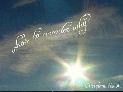 Who's to Wonder Why?