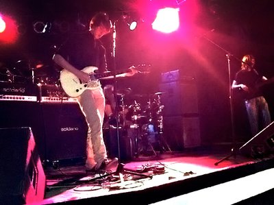 Levi's Gene Pool photo