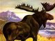 Moose