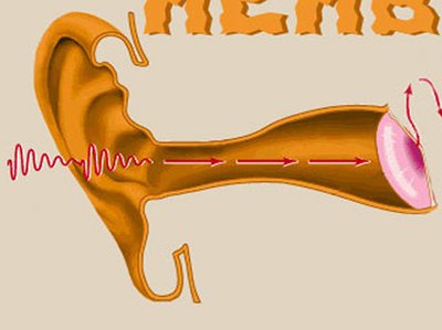 Membrane Media