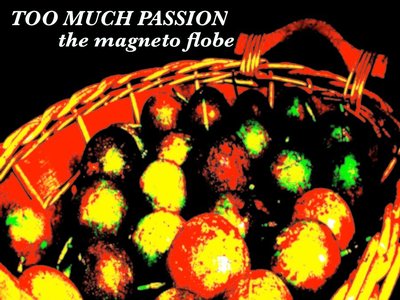 The Magneto Flobe photo