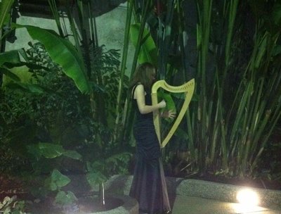Harp Angel? or Frairie ?