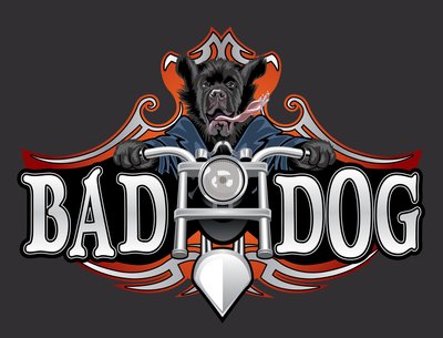 Bad Dog Band photo