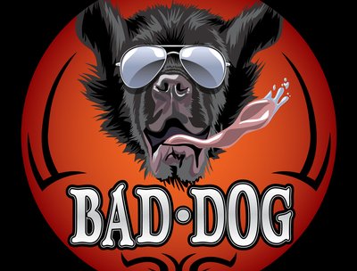 Bad Dog Band photo