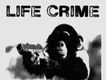 LIFE CRIME photo