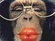 Monkeys Know More