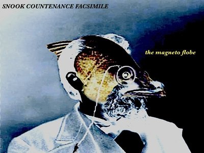 The Magneto Flobe photo