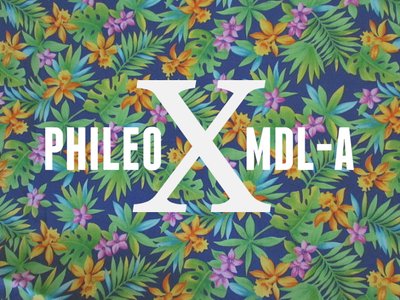 MDL-A Music photo