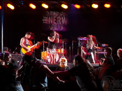 THE NERV photo
