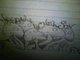Some Natually Nelson newNNesss i drew awhile agoo. 