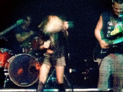 Slay the Phoenix photo