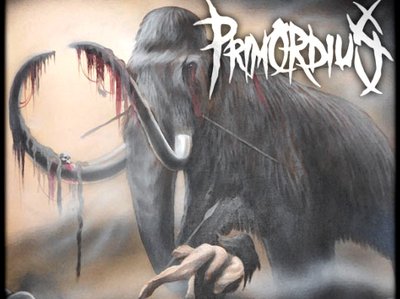 Primordius photo