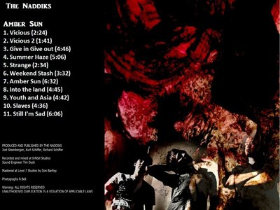 Back cover of Amber Sun