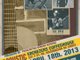 THE Dubber Live April 18, 2013