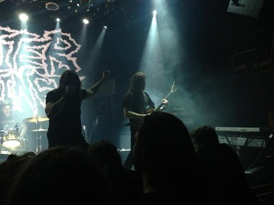 Gutter Instinct photo