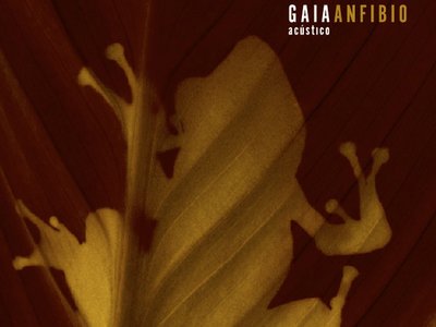 Anfibio
