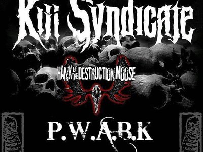 Kill Syndicate photo