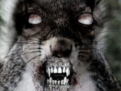 The Dead Squirrels photo