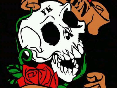 Broken Rose photo