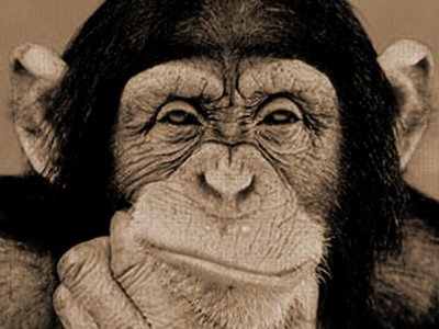 I think we're all bonobos on this bus.