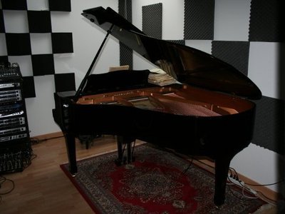 Fonorecord Studio Demo photo
