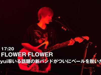 FLOWER FLOWER photo