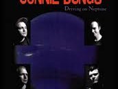 The Connie Dungs photo