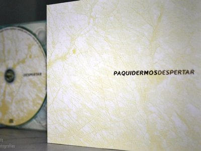 Paquidermos photo