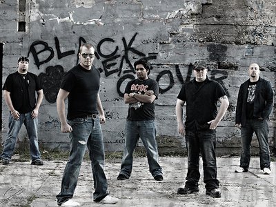Black Leaf Clover photo